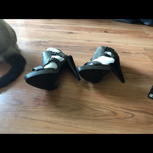 Report signature Randolph 2 pump 6.5 gladiator - Picture 5 of 9